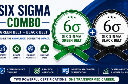 Six Sigma Combo