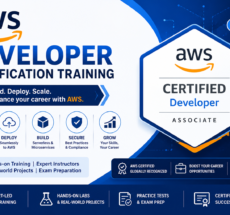 AWS Developer Certification Training