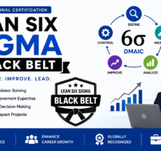Lean Six Sigma Black Belt