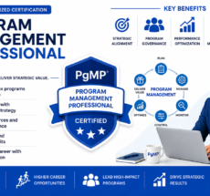 Program Management Professional (PgMP)