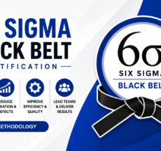 Six Sigma Black Belt Certification